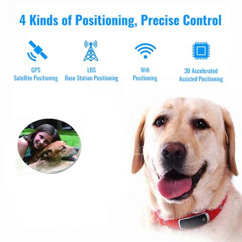 Smart Gps Dog Collar – Real-time Tracking – Android & Iphone Apps