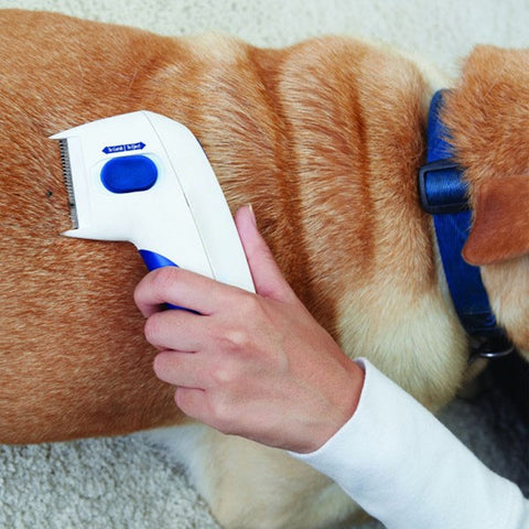 Flea Doctor- Electronic Flea Comb Perfect for Dogs & Cats, Kills & Stuns Fleas